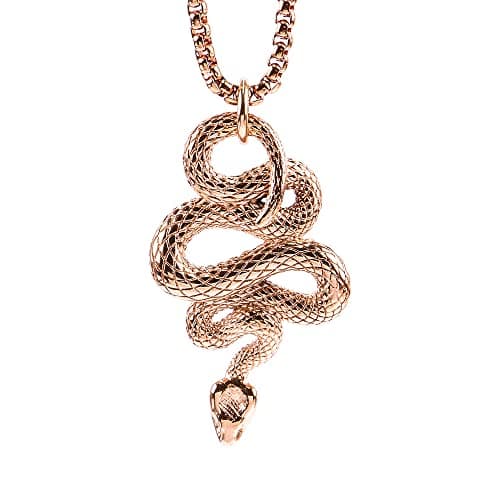 OAKKY Men's Gothic Stainless Steel Snake Animal Pendant Necklace