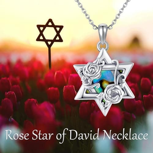 AXOMY Sterling Silver Abalone Rose Star of David Pendant Necklace
