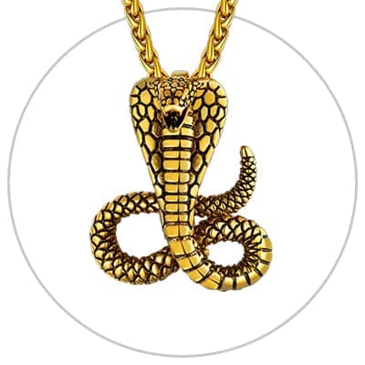 Stainless Steel Snake Pendant Necklace for Men and Women - Punk Fashion jewelry