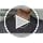 18K Gold Plated Diamond Cut Miami Cuban Link Chain for Men and Women