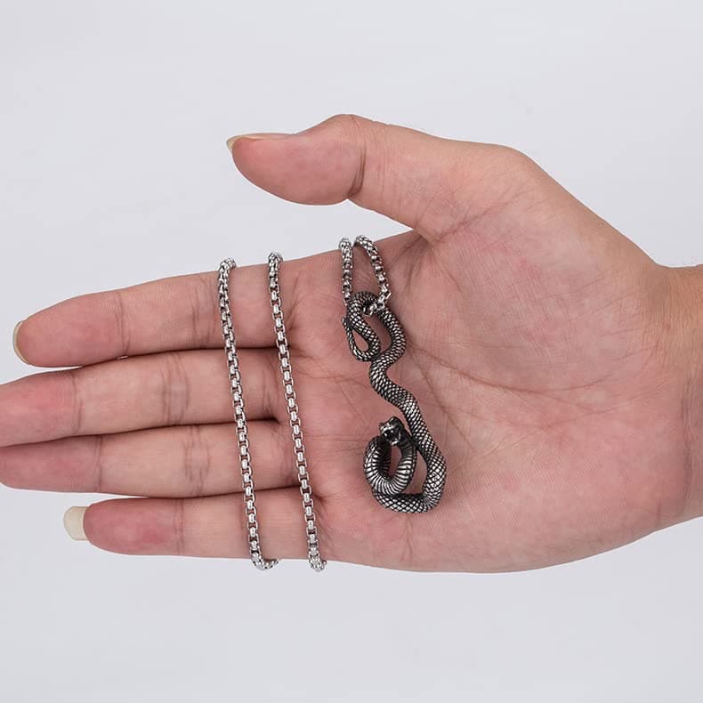 Stainless Steel Snake Biker Skull Pendant Necklace for Men & Women Black Gothic Jewelry