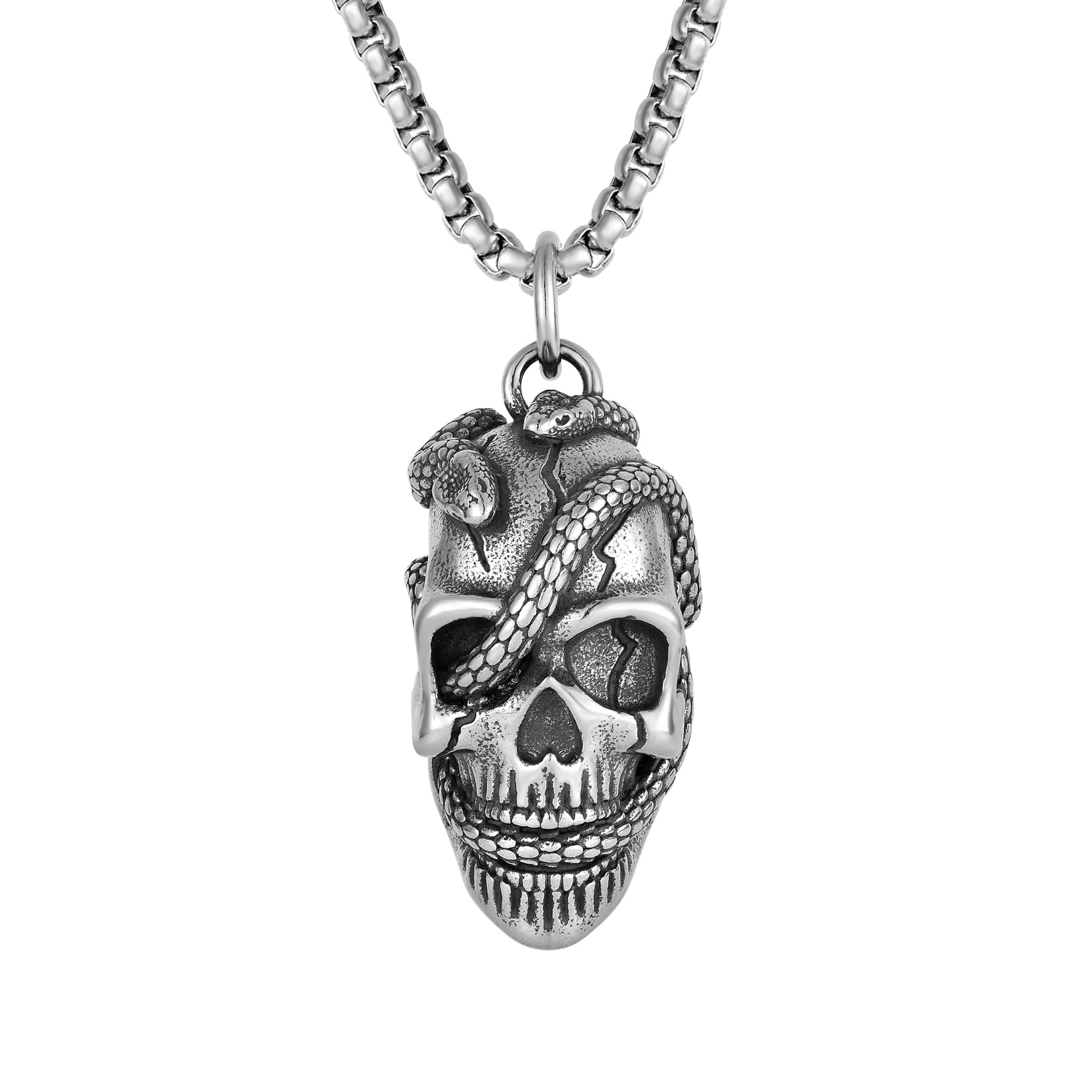 Raymard Men's Gothic Snake Skull Necklace, Stainless Steel Punk Pendant, 24" Chain