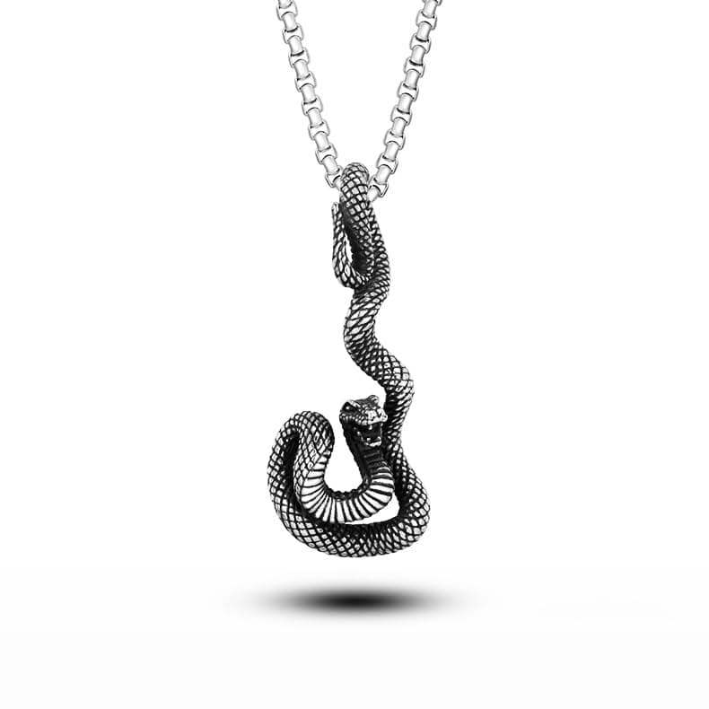 Stainless Steel Snake Biker Skull Pendant Necklace for Men & Women Black Gothic Jewelry